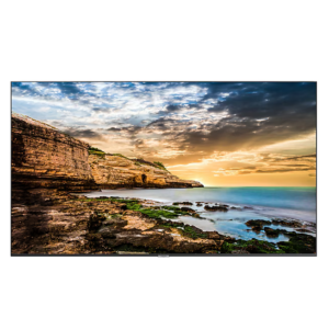 65" Professional Digital Signage QET Series