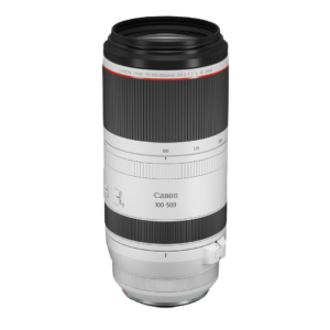 Canon RF 100-500mm f/4.5-7.1 L IS USM Lens [Special Order]